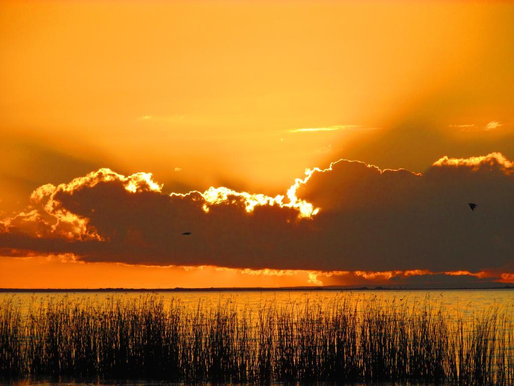 Отель Lake Albert Caravan Park Meningie Экстерьер фото