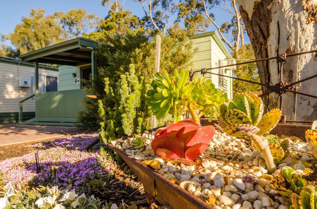 Отель Lake Albert Caravan Park Meningie Экстерьер фото